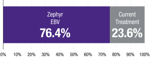 Zephyr-Patient-Preference