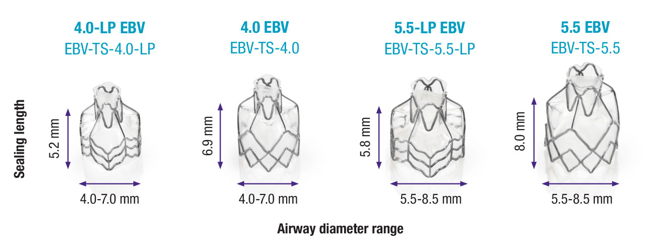 Zephyr-Valve-Range-Airway-Sizes