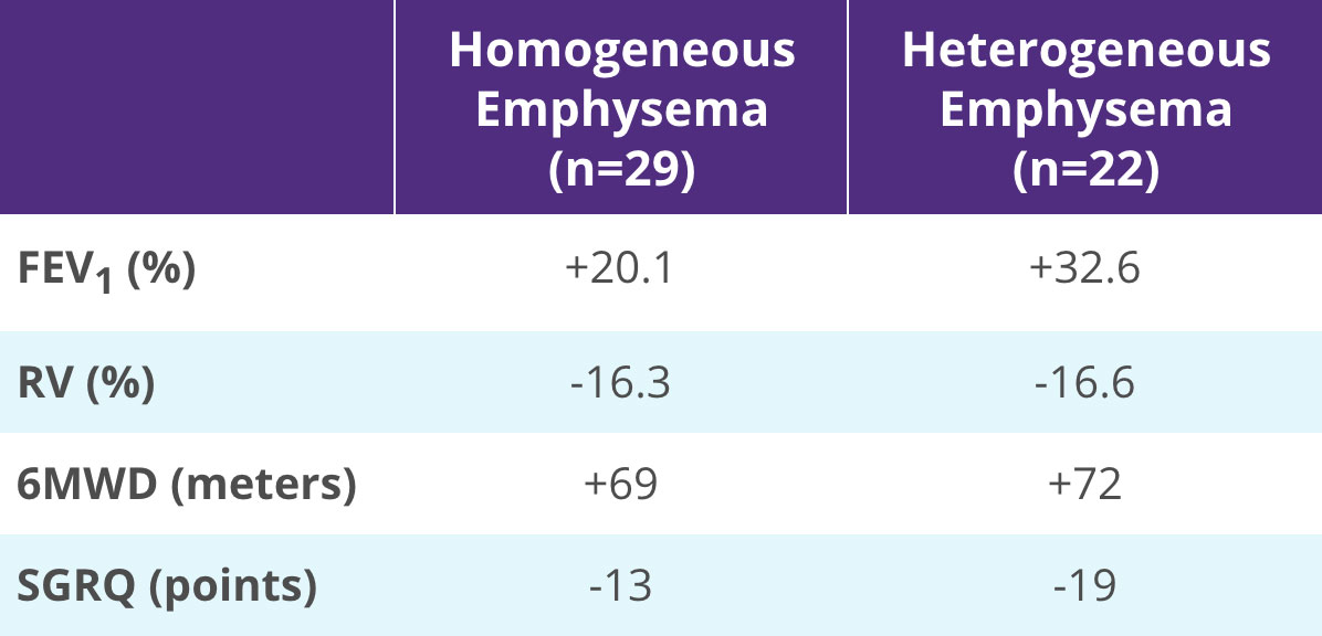 Zephyr-Heterogenous-Homogenous-STELVIO-Clinical-Study