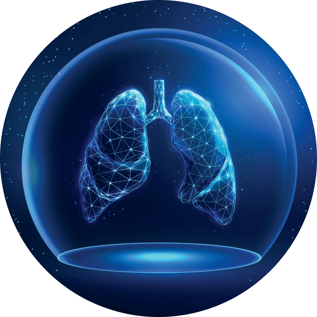 lungs (1) lungs